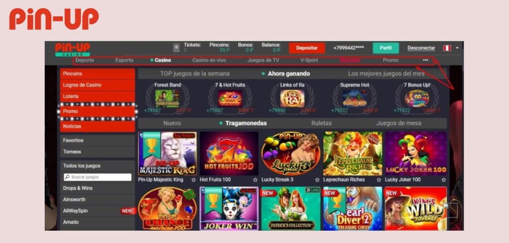 Pin Up Casino Online_